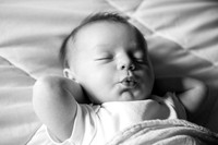Newborn